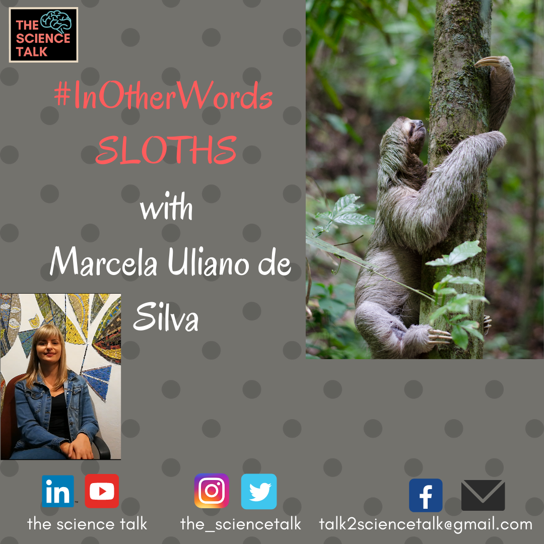 Sloths #InOtherWords | ft. Marcela Uliano da Silva