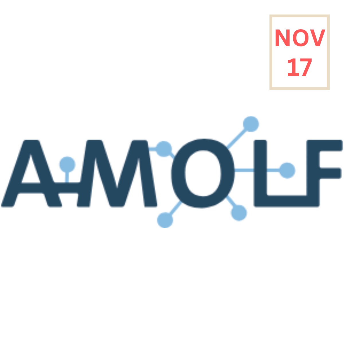 AMOLF Industry Workshop